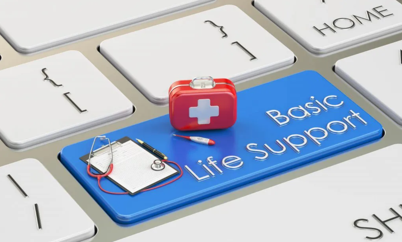 BLS Training for Healthcare